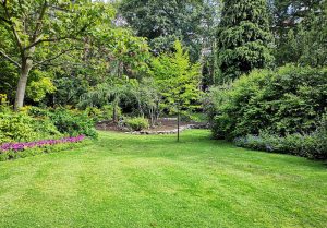Optimiser l'expérience du jardin à Sainte-Honorine-de-Ducy